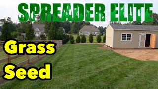 Turf Type Tall Fescue Grass Seed That Does WHAT [upl. by Ladnek]