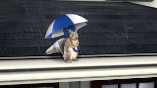 LeafGuard Gutter Squirrel Commercial for 2013 Season [upl. by Lisbeth651]