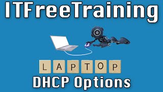 DHCP Options [upl. by Constantina482]