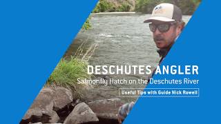 DESCHUTES RIVER SALMONFLY HATCH  Useful Tips with Guide Nick Rowell [upl. by Nnyledam]