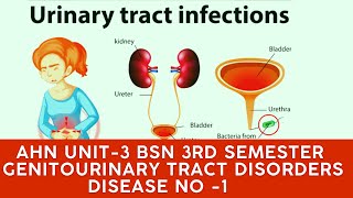 AHN BSN 3rd semester Unit3 Ganitourinary Tract Disorders Disease No 1 UTIs explanation in Urdu [upl. by Salli704]