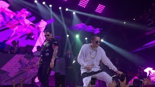 BABY RASTA amp GRINGO En Vivo  Sala Premium DO  16022018 CHILE [upl. by Paulina]