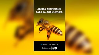 Abejas artificiales para la agricultura [upl. by Naoma602]