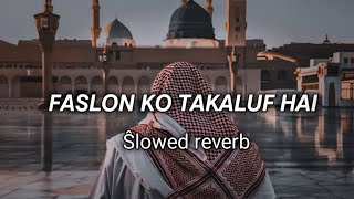 Faslon Ko Takaluf Hai Slowed Reverb 2024 ka Najamshorts viralvideo youtubeshorts [upl. by Annahsit]