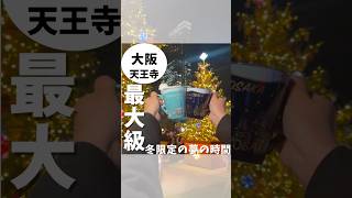 大阪最大級なクリスマス⁉️クリスマスマーケット5選 [upl. by Abagail]