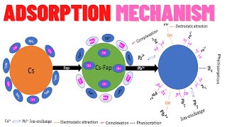 Adsorption mechanism [upl. by Deehsar]