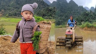 A 30yearold single mother and her child planted rice  a kind young man came to visit and help​ [upl. by Pierpont]