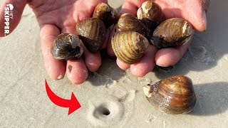 Catching Clams for Surf Fishing Bait Pompano Fishing Catch  Cook [upl. by Aryamoy]