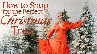 Christmas Tree Shop  My Top 5 Favorite Trees  How to Shop for the Perfect Christmas Tree [upl. by Thinia]