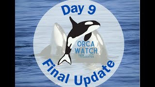 Orca Watch 2024 Final RoundUp [upl. by Quiteris]