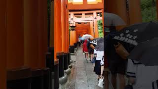 伏見稲荷大社Fushimiinaritaisha kyoto [upl. by Farand137]