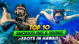 Top 10 Snorkeling and Diving Spots in Hawaii [upl. by Portia]