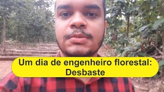 Um dia de engenheiro florestal  Desbaste [upl. by Zicarelli779]