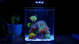 2 Hours of Nano Reef Tank Relaxation Relaxing Piano Music [upl. by Ap]