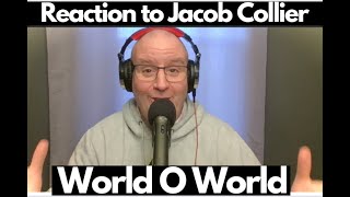 First Time Reaction to Jacob Collier World O World [upl. by Eiramasil]