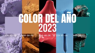 Colores en Tendencia para el Año 2023 COLOR DEL AÑO 2023  Color en el Diseño Interior [upl. by Nyhagen971]