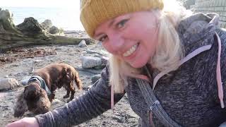 Looe to Talland Bay Cornwall A stunning day to walk the South West Coast Path [upl. by Silsbye739]