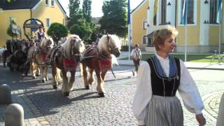 Auszug zum Pockinger Pfingstfest [upl. by Hyacintha]