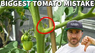 Youre Pruning Tomatoes WRONG This Mistake Will DESTROY Your Harvest [upl. by Vasiliu]