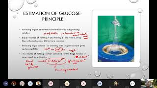 Estimation of Glucose with Fehling Solution [upl. by Aynekal]