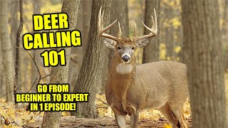 DEER CALLING 101  BUCK CALLS FOR HUNTING  DEER SOUNDS TO ATTRACT DEER [upl. by Nolyak]