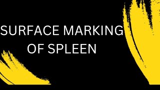 Surface marking of spleen [upl. by Daj]