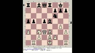 Alekseev Andrey vs Sakaev Konstantin  Stockerau Chess Open 1991 Austria [upl. by Aggri]