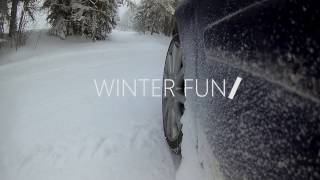 WINTER FUN  FIESTA ST [upl. by Ellehcyar]