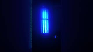 My new solar powered bug zapper works great [upl. by Artap158]