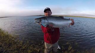 Casting Mag Lips for Silver Salmon [upl. by Aihsekan906]