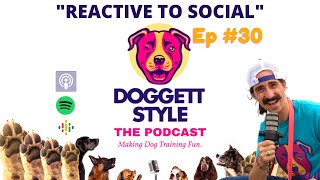 Doggett Style Podcast Episode 30 Reactive Dog to Social Dog Process [upl. by Acnaib705]