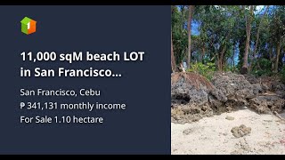 11000 sqM beach LOT in San Francisco Camotes For sale [upl. by Klein269]