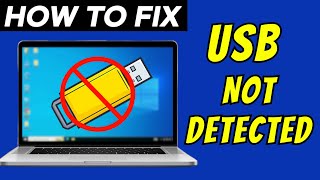 How to Fix PendriveUSB Not Detected Issue  3 Solutions [upl. by Waly182]