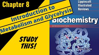 Lippincotts Biochemistry Review Chapter 8 Introduction to metabolism and glycolysis  Study This [upl. by Ynaiffit853]