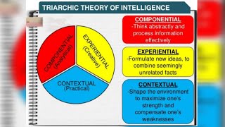 🌐🌀TRIARCHIC THEORY OF INTELLIGENCESTERNBERGS THEORY OF INFORMATION PROCESSINGMA PSYCHOLOGYIGNOU🌐🌀 [upl. by Iglesias]