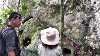 Danum Valley Borneo Malaysia  Morning jungle hike part 05  Coffin Cliff 2018 Dec 24 [upl. by Ardnasirhc]