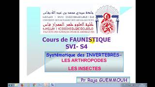 cours de faunistique svi s4 les arthropodes les insectes [upl. by Aimil]