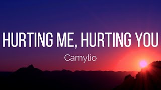 Camylio  hurting me hurting you Lyrics [upl. by Sclater743]