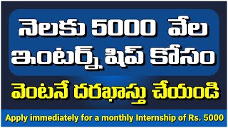 నెలకు 5వేల ఇంటర్న్ షిప్ Apply for Rs 5 th Internship pminternship internship2024 internship [upl. by Ecirtnuahs16]