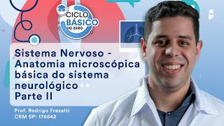 Sistema Nervoso  Anatomia microscópica básica do sistema neurológico Parte 2  Ciclo Básico do Zero [upl. by Sarnoff]