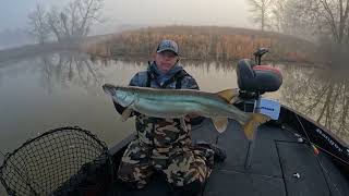 Kinkaid Lake Muskie Fishing in Southern Illinois [upl. by Nivram]