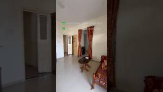 Furnish 2 BHK Flat Near City Center Mall Nashik Only 42 Lacs nashik nashikproperty [upl. by Nileve]