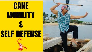 Cane Self Defense Cane Mobility amp Self Defense Techniques [upl. by Ellehcar]