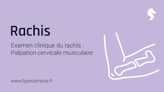 Examen Clinique du Rachis  la Palpation Cervicale Musculaire [upl. by Herrick164]