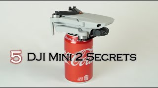 5 Tips to make the DJI Mini 2 even BETTER [upl. by Mattson]