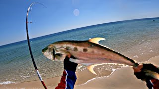 Shore JiggingShore FishingNakahuli ng Malaking Lapis at Ibon [upl. by Llerud]