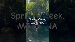 Bridge JUMPING Spring Creek Montana fall bridge jump bible fishing water [upl. by Alie]