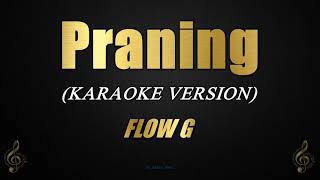 Praning  FLOW G Karaoke [upl. by Anizor]