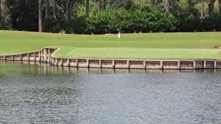 TPC Sawgrass 17th Hole [upl. by Wier859]