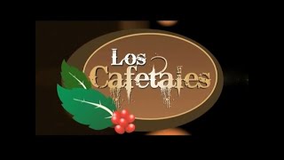 CAFETALES LA NOVELA PRODUCIDA EN TAL PARA CUAL ENTRE LE 2011 Y 2013 [upl. by Ennovahc678]